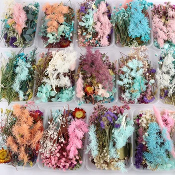 1 Polje 1 Polje Pravi Nohtov Posušeno Cvetje Listov Nail Art Dekor DIY Nasveti za Barvanje Cvetje Nalepke za Nohte Za Aromaterapijo Svečo
