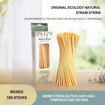 100 KOZARCEV Naravnih Pšenične Slame Biorazgradljiva Slamic Okolju Prijazno Prenosni Pitje Slama Bar Kuhinjski Pribor