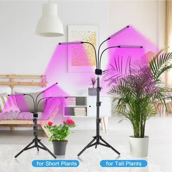 60 W LED Grow Light Tla Nastavljiv Stoji Raste Lučka Za Sobne Rastline CASTNOO Led Grow Light Rastejo Svetlobe