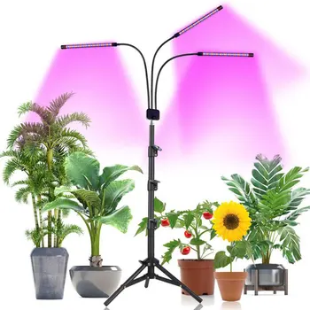 60 W LED Grow Light Tla Nastavljiv Stoji Raste Lučka Za Sobne Rastline CASTNOO Led Grow Light Rastejo Svetlobe