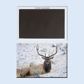 Elk Norveška svetu najredkejših živalskih 22287 drobnih daril za prijatelje,Spominke po vsem Svetu Turističnih;hladilnik magnet