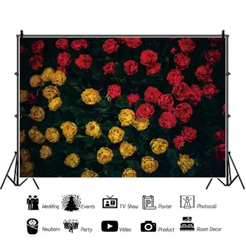 Laeacco Cvetje Področja Fotografije Kulise Meri Rose Portret Photocall Scensko Fotografske Okolij Za Foto Studio