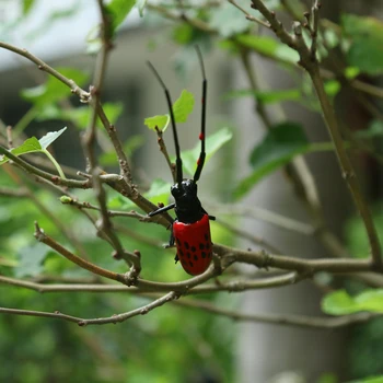 Mini Žuželke Divje Živali Bug Figurice Žuželke Igrača Igrajo Otrok Igrača