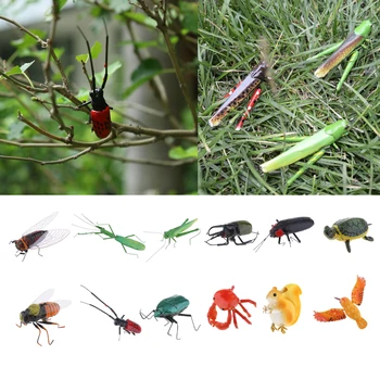 Mini Žuželke Divje Živali Bug Figurice Žuželke Igrača Igrajo Otrok Igrača