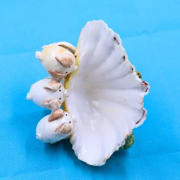 Naravni Pokrovača Seashell Clam Obrti Milo Imetnik Beach Poroka Okraski Akvarij Krajine Dekor Lupine za Nakit, Izdelava