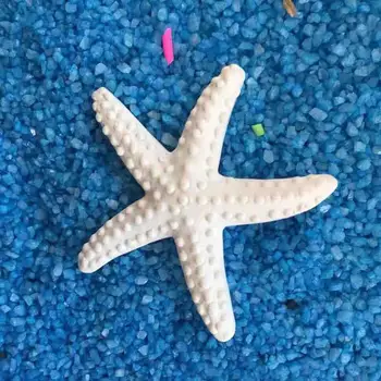 Ornament Okolju prijazno Plastic Beach Obalnih Simulacije Zvezda DIY Obrti Ornament Dekor Dekoracijo Obrti Doma Dekor 2021