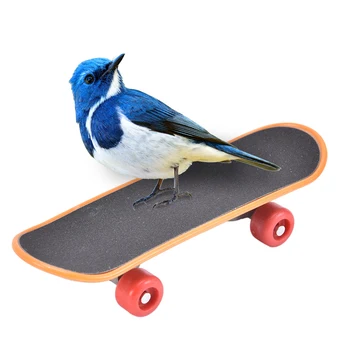 Plastika Ptica Usposabljanje Skateboard Stentov Piling Skirojem Rolkanje Za Mala Papiga Hišnih Ptic, Ki Funny Igrače Za Hišne Živali Mini Skateboard