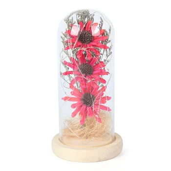 Posušene Sončnično Banket Cvetje v Stekleno Kupolo Niz Luči za Valentinovo Darilo, Poročni Doma Notranjo Dekoracijo
